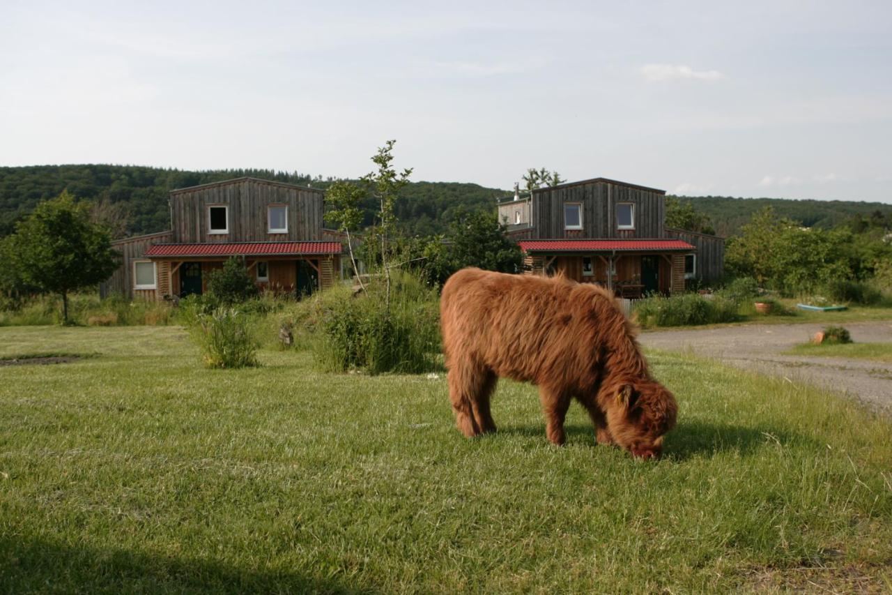 Апартаменти Rech Hof Urlaub Auf Dem Bauernhof Schalkenbach Екстер'єр фото